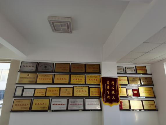 图片25